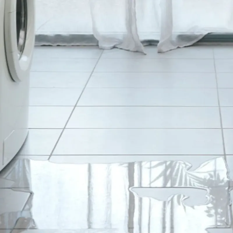 Appliance Leak Cleanup in Roanoke, IL