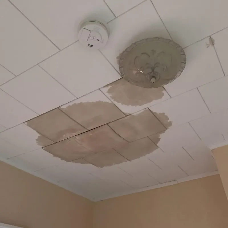 Ceiling Water Damage Repair in Roanoke, IL