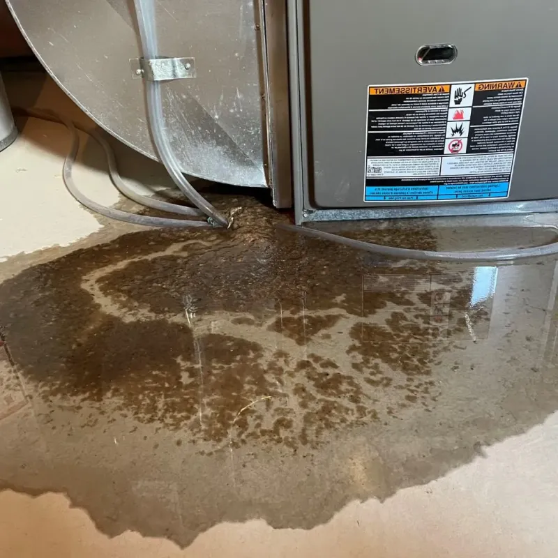 Pipe Burst and Leak Restoration in Roanoke, IL