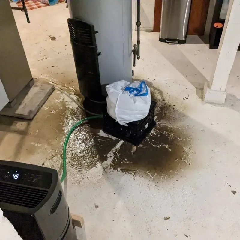 Sewage Backup Cleanup Service in Roanoke, IL